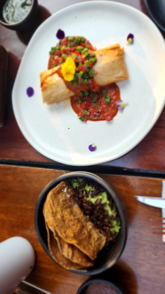 Chapulines prato típico do México