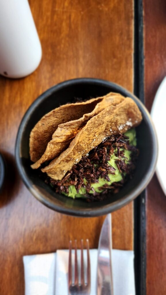 Chapulines prato típico do México